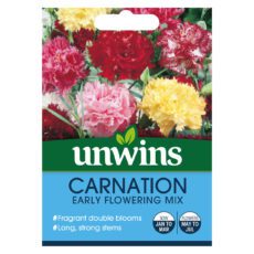 5051618010504 1 Carnation Early Flowering Mixed Seeds.jpg